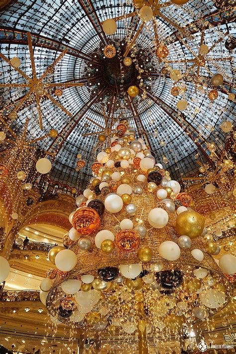 20 absolutely amazing things to do in Paris | Christmas in paris, Paris travel, Paris