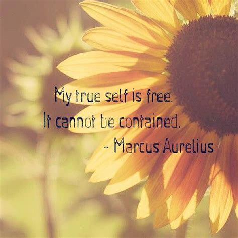 Love Marcus Aurelius Quotes. QuotesGram