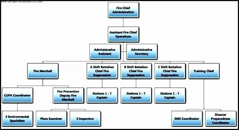 Chain Of Command Chart Template Elegant Chain Mand Chart | Chart, Basic cv template, Cv template ...