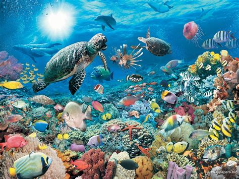 🔥 [49+] Free Animated Underwater Wallpapers | WallpaperSafari