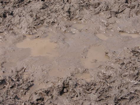 Free photo: Muddy water - Dirt, Dirty, Grunge - Free Download - Jooinn