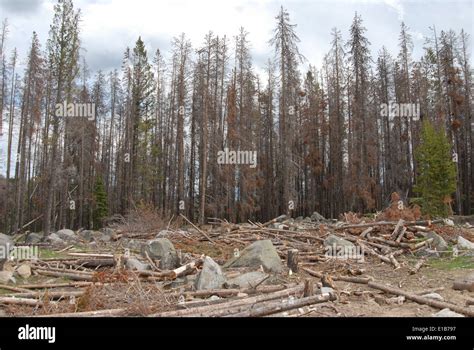 Park Lake Campground Stock Photo - Alamy