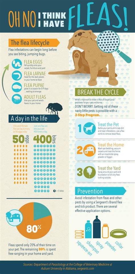 Infographic Facts About Fleas & Ticks on Your Pet | Fleas, Flea remedies, Pet health