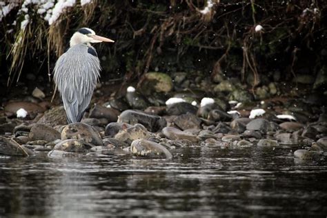 THE TOP 10 Things To Do in The Scottish Highlands | Attractions & Activities - page 2