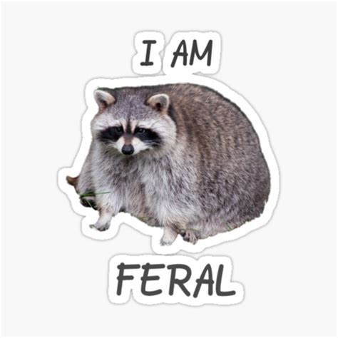 "I am feral meme" Sticker for Sale by NoCoffeeNoLife | Redbubble