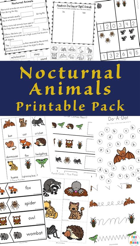 Nocturnal Animals For Kids - Fun with Mama