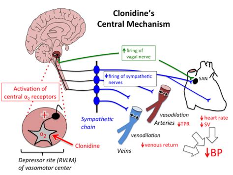 clonidine [TUSOM | Pharmwiki]