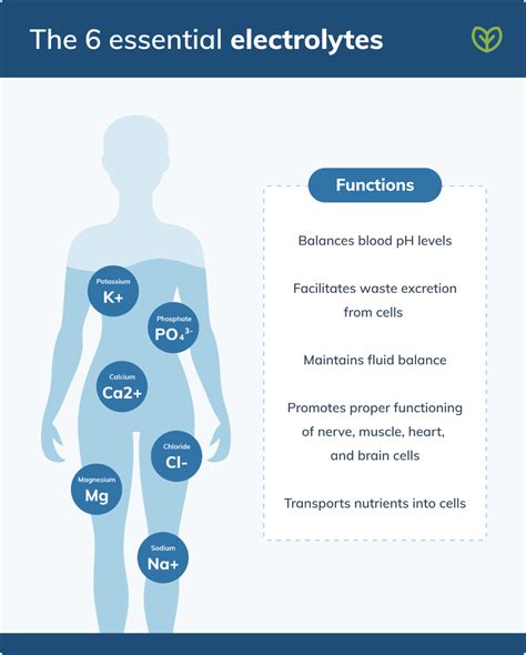 What Are Electrolytes and Why Are They Important? | Fullscript Natural Electrolytes, Fluid And ...