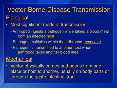 PPT - Vector-Borne Diseases PowerPoint Presentation, free download - ID ...