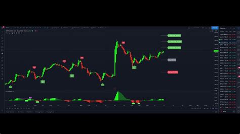 Introducing Elite Algo by EliteSignals! Take Your Trading To The Next Level! - YouTube