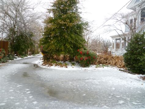 Americus Garden Inn Bed and Breakfast: First Snow in Americus Georgia ...