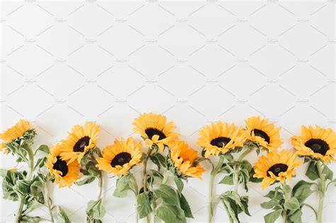 Sunflowers background | Sunflowers background, Iphone wallpaper yellow, Facebook cover photos ...