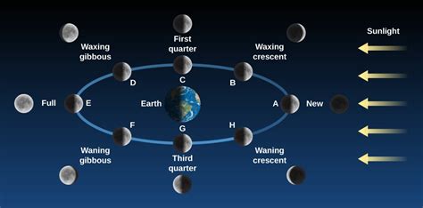 Phases and Motions of the Moon | Astronomy