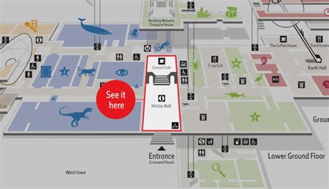 Natural History Museum London Floor Plan Pdf | Viewfloor.co