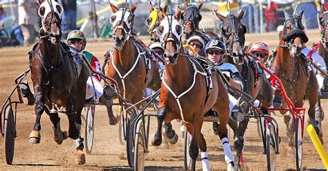 Live harness racing returns to Hoosier Park | TwinSpires