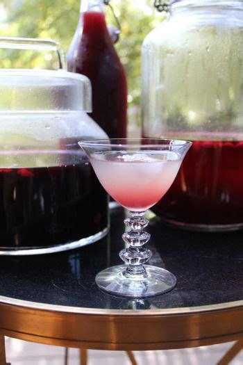 10+ Elderberry Cocktails ideas | elderberry cocktail, elderberry, cocktails