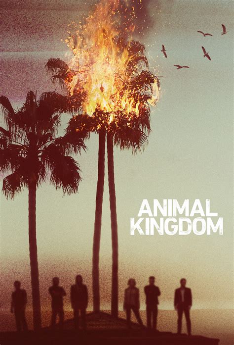 Animal Kingdom (TV series) - Alchetron, the free social encyclopedia