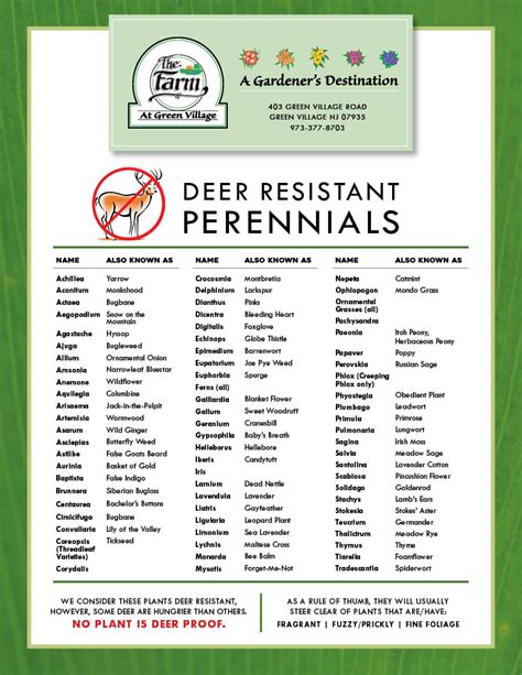 List of Deer Resistant Annuals & Perennials - The Farm at Green Village