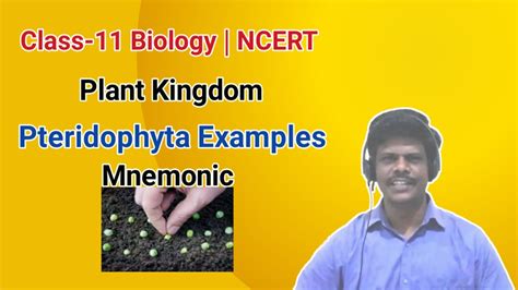 Pteridophyta Examples | Mnemonic | Plant Kingdom | Class 11 Biology | NCERT - YouTube