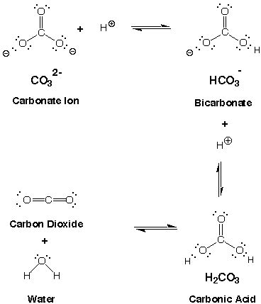 Hydrogen Carbonate Lewis Structure