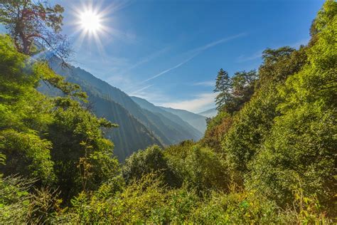 Tree cover in Nepal has doubled since forests were entrusted to local ...