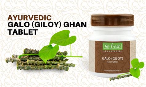 Top Health Benefits and Uses of Giloy- The Most Popular Ayurvedic Herb