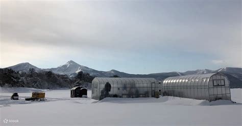 Lake Hibara Smelt Ice Fishing Experience in Fukushima, Japan - Klook ...