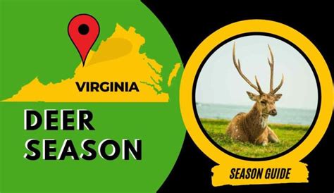 Virginia Deer Season 2023: VA Deer Hunting Guide [Dates, Rules, Bags ...