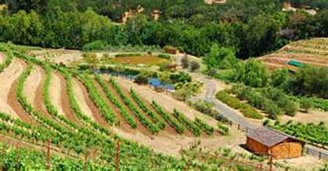 Best Wineries in Sonoma Valley | List of Top Sonoma Vineyards