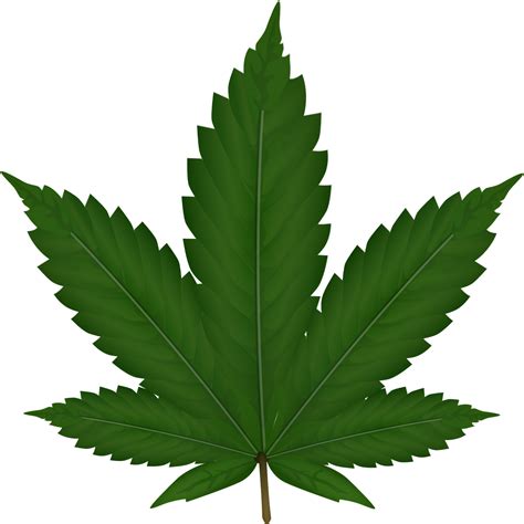 Download Cannabis, Hemp, Leaf. Royalty-Free Vector Graphic - Pixabay