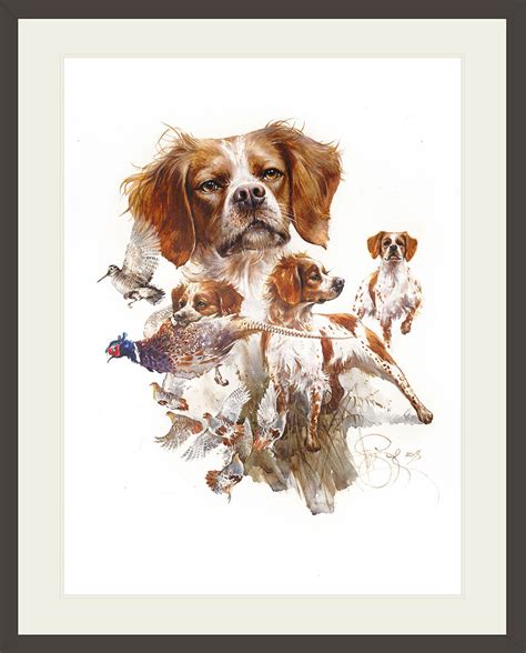 Author's print “Epagneul Breton”, animal art, art print - Siurha Art