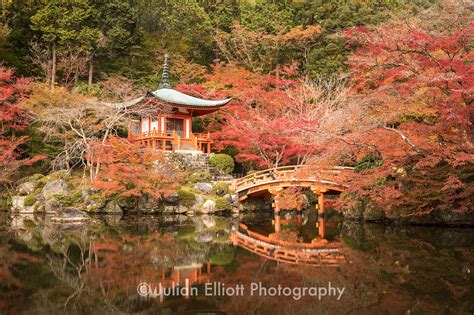 Japan Autumn Photography Tour Workshop November 2024