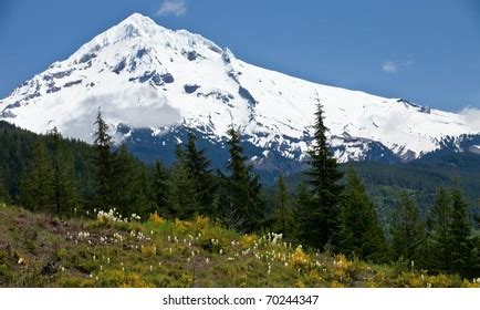 625 Mt Hood Summit Images, Stock Photos, 3D objects, & Vectors | Shutterstock