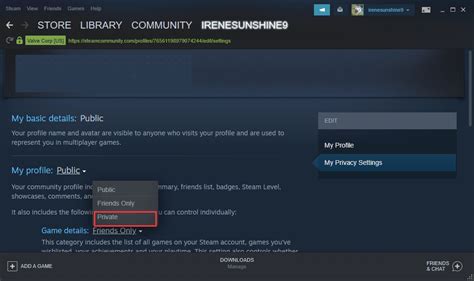 [Ultimate Guide] How To Hide Game Activity On Steam From Friends?