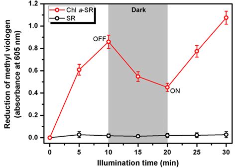 Photoreduction of methyl viologen by Chl a-SR. The absorbance at 605nm... | Download Scientific ...