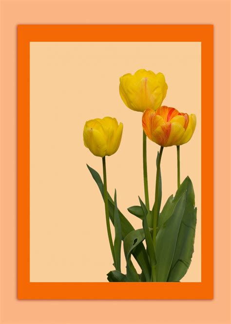 Flowers Card Template Free Stock Photo - Public Domain Pictures