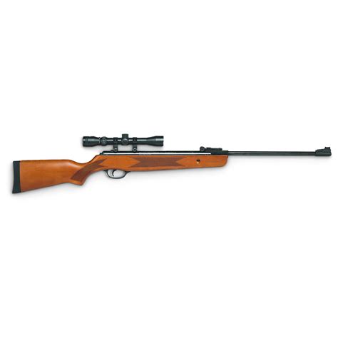 Winchester® 1250WS Air Rifle, Wood - 294671, Air & BB Rifles at Sportsman's Guide