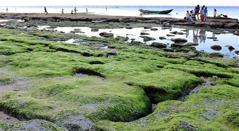 Protecting Timor-Leste’s rich biodiversity