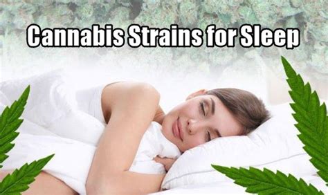 The Top 5 Cannabis Strains For Sleeping and Insomnia