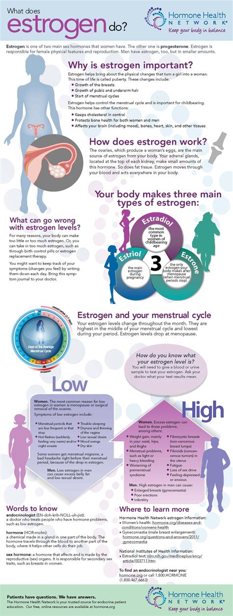 what does estrogen do? Health Facts, Health Info, Health And Nutrition ...