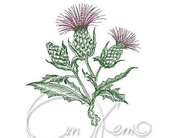 Scottish Thistle Embroidery Design Instant Download - Etsy