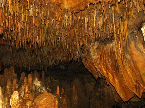 Florida-Caverns-State-Park-Marianna-FL-139