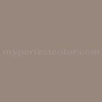 Brown Paint Colors at MyPerfectColor.com