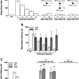 Retrieval induces reconsolidation of fear extinction memory. A ...