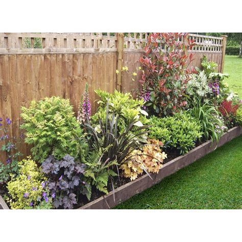 Homebase UK | Garden border plants, Garden borders, Backyard garden design