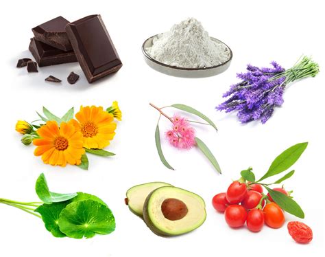 The Ultimate Guide To Beauty Ingredients - NewBeauty