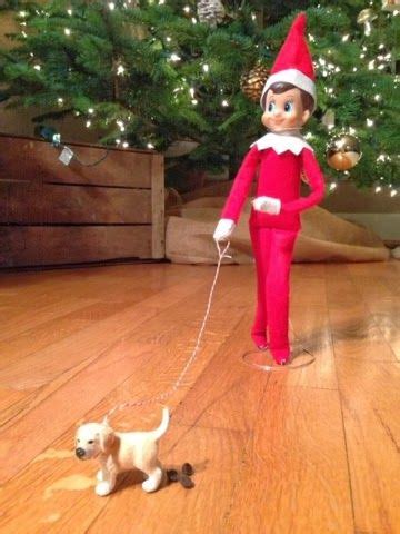 Zest and Reel: The best thing about Christmas... | Elf on the shelf ...