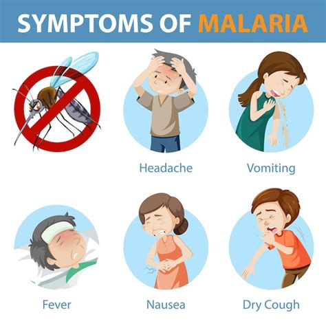 Free Vector | Symptoms of malaria cartoon style infographic