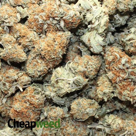 Buy Orange Kush Online - Cheap Weed