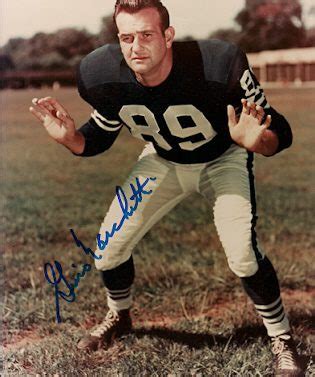 Autographed GINO MARCHETTI Baltimore Colts photo - Main Line Autographs